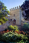 Rabat - la Kasbah degli Oudaia. I Giardini andalusi.
